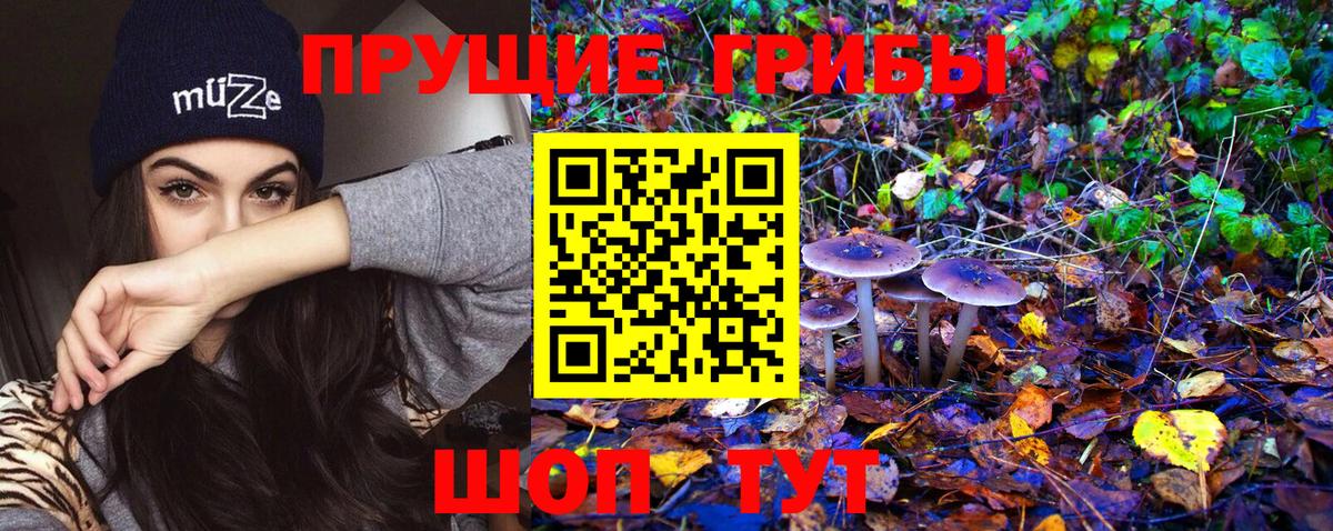 Псилоцибиновые грибы Psilocybe  Вход с VPN  продажа наркотиков  Югорск 